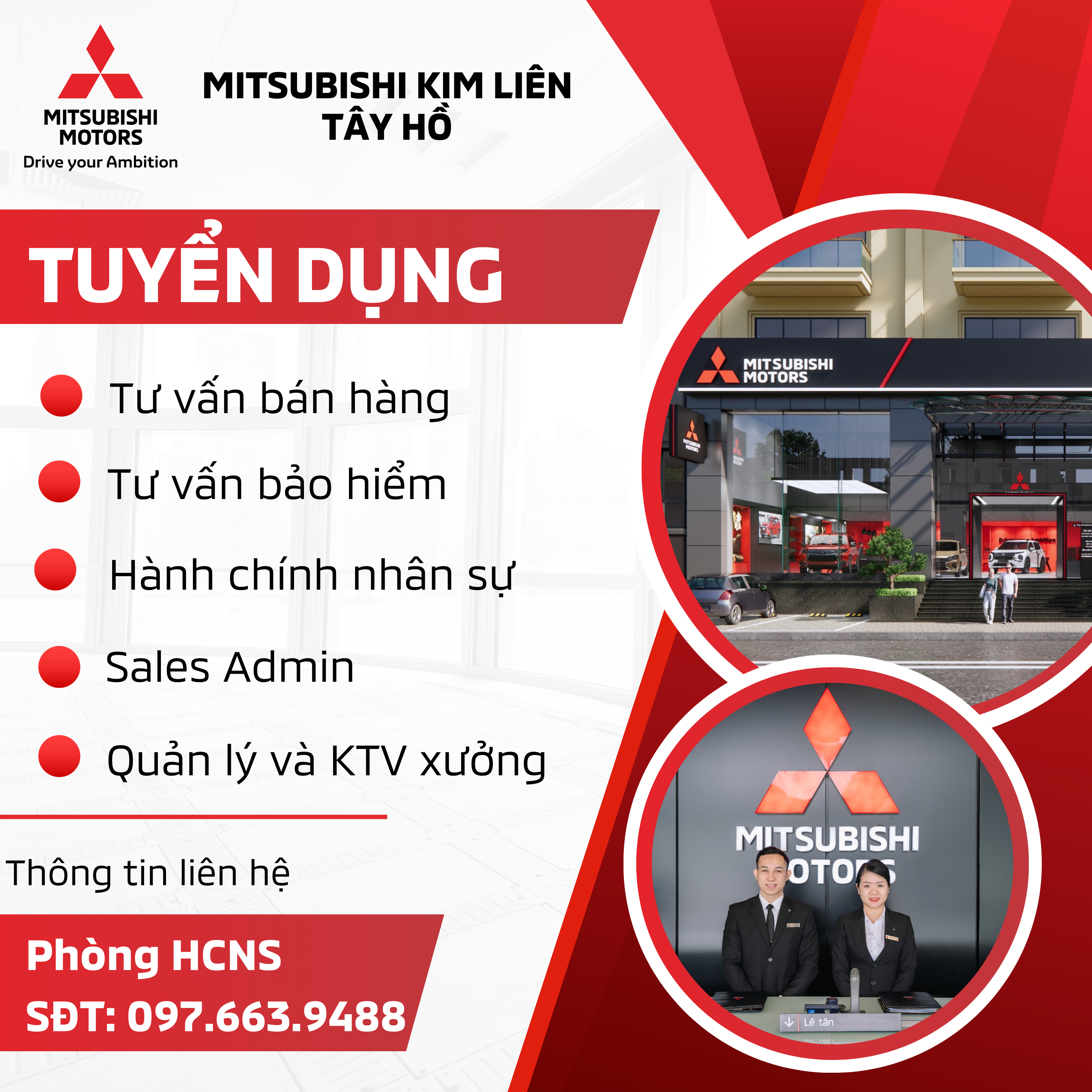 ava tuyển dụng tháng 4/2024